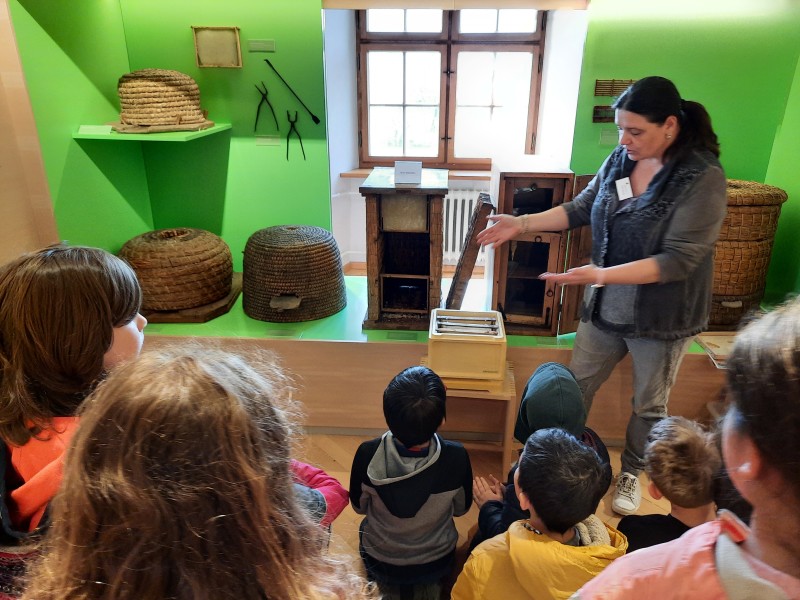 Besuch-im-Bienenmuseum-3.-Klassen